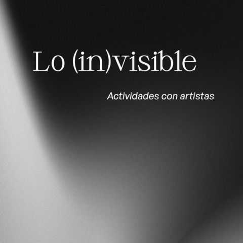 Exposición Lo invisible. Actividades con artistas