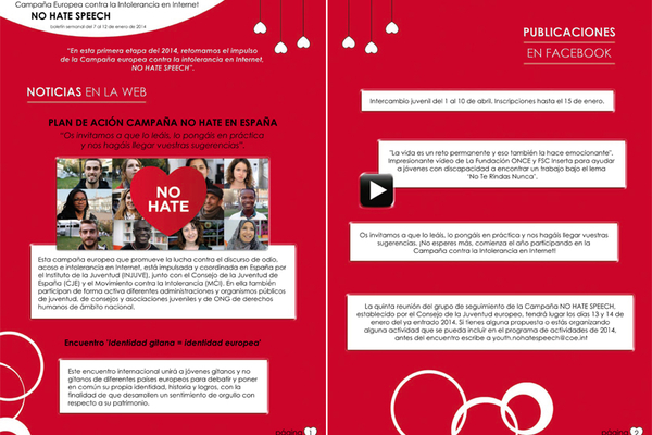 Páginas del Boletín de la Campaña No Hate en España, enero de 2014.