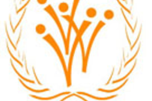 Logo del Día Internacional de los Voluntarios