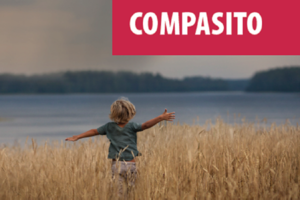 Cartel del curso de formación Compasito