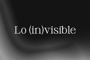 Lo (in) visible